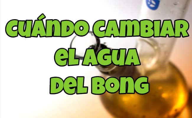 cada cuanto cambiar el agua al bong